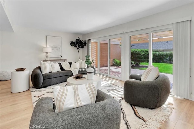 living room with wood finished floors