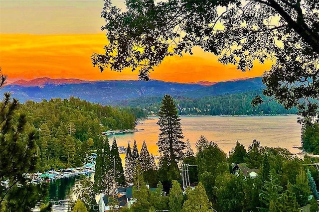 27550 N Bay Rd, Lake Arrowhead, CA 92352 - mountain view with a forest