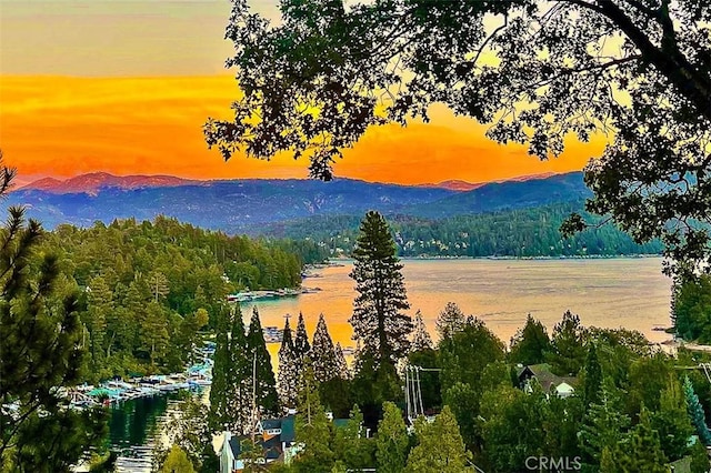 27550 N Bay Rd, Lake Arrowhead, CA 92352 - view of mountain backdrop with a forest