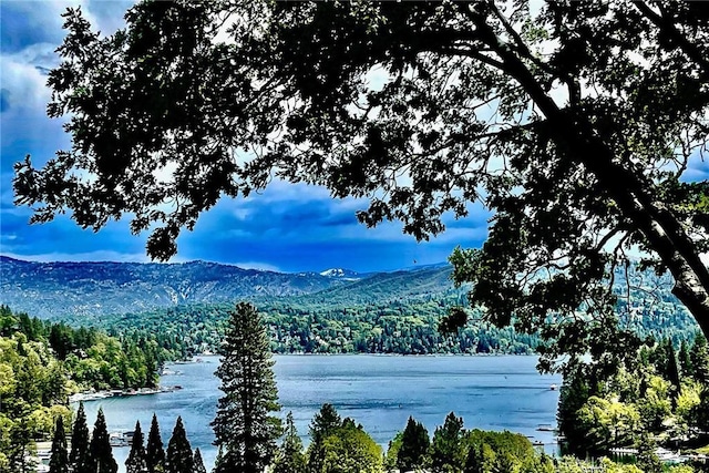27550 N Bay Rd, Lake Arrowhead, CA 92352 - water view featuring a heavily wooded area and mountains
