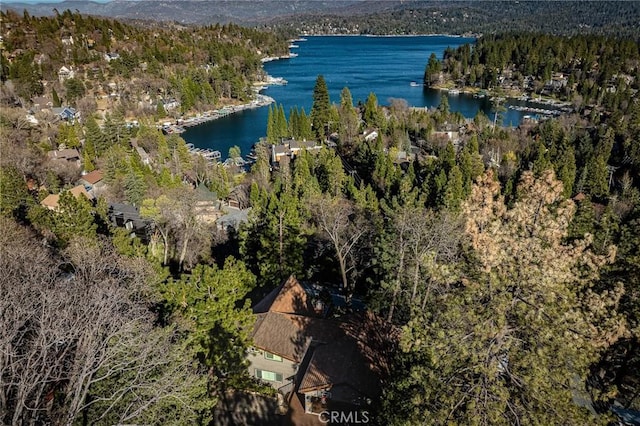 27550 N Bay Rd, Lake Arrowhead, CA 92352 - bird's eye view of a forest and a water and mountain view