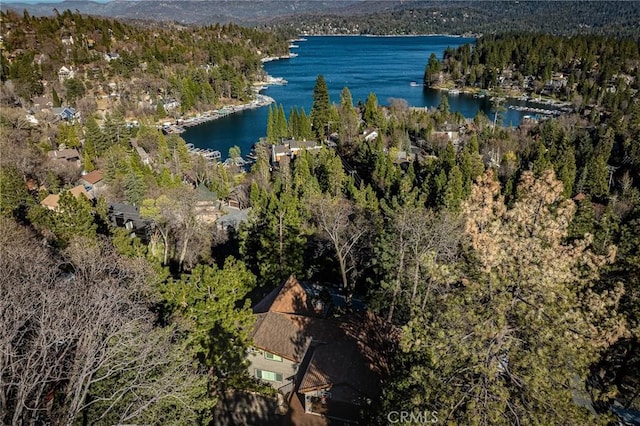27550 N Bay Rd, Lake Arrowhead, CA 92352 - aerial view of a heavily wooded area and a water and mountain view