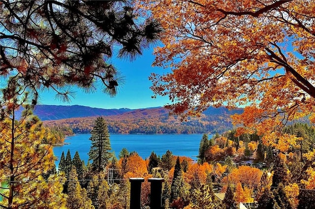 27550 N Bay Rd, Lake Arrowhead, CA 92352 - water view with a forest and a mountain backdrop