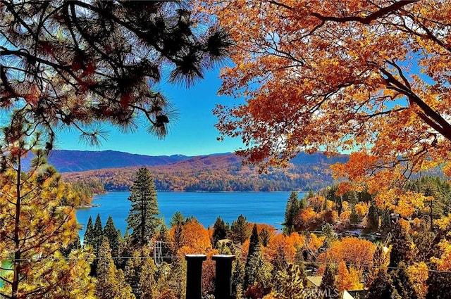 27550 N Bay Rd, Lake Arrowhead, CA 92352 - water view with a heavily wooded area and a mountain backdrop