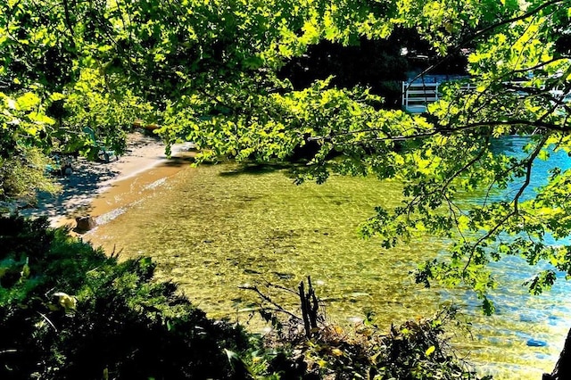 27550 N Bay Rd, Lake Arrowhead, CA 92352 - view of yard