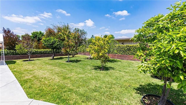view of yard featuring a fenced backyard