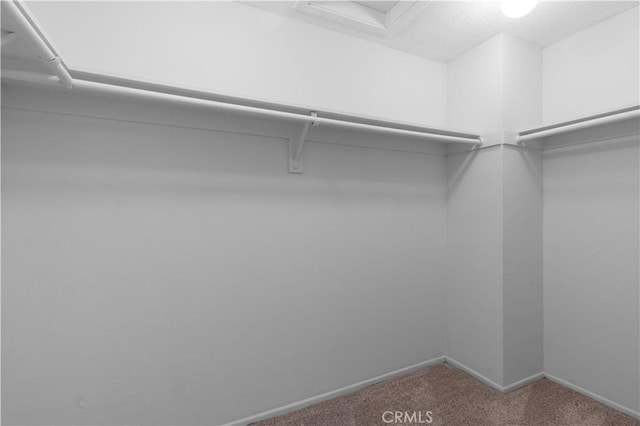 spacious closet with carpet floors