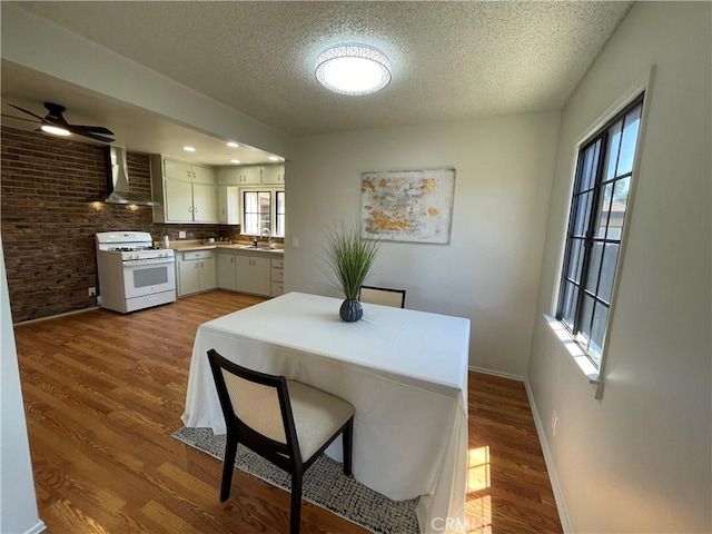 dining space with ceiling fan, plenty of natural light, dark wood-style flooring, and a textured ceiling