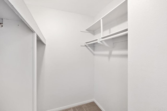 spacious closet with carpet flooring
