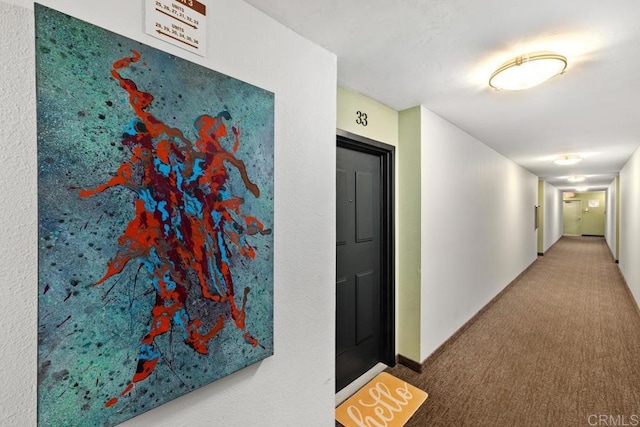 hall with carpet floors