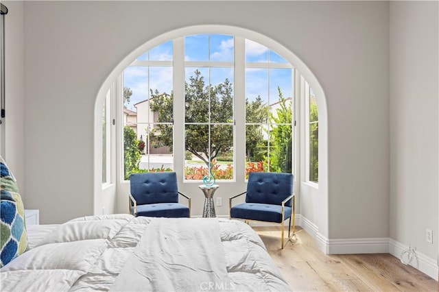 bedroom featuring baseboards and light wood-style flooring