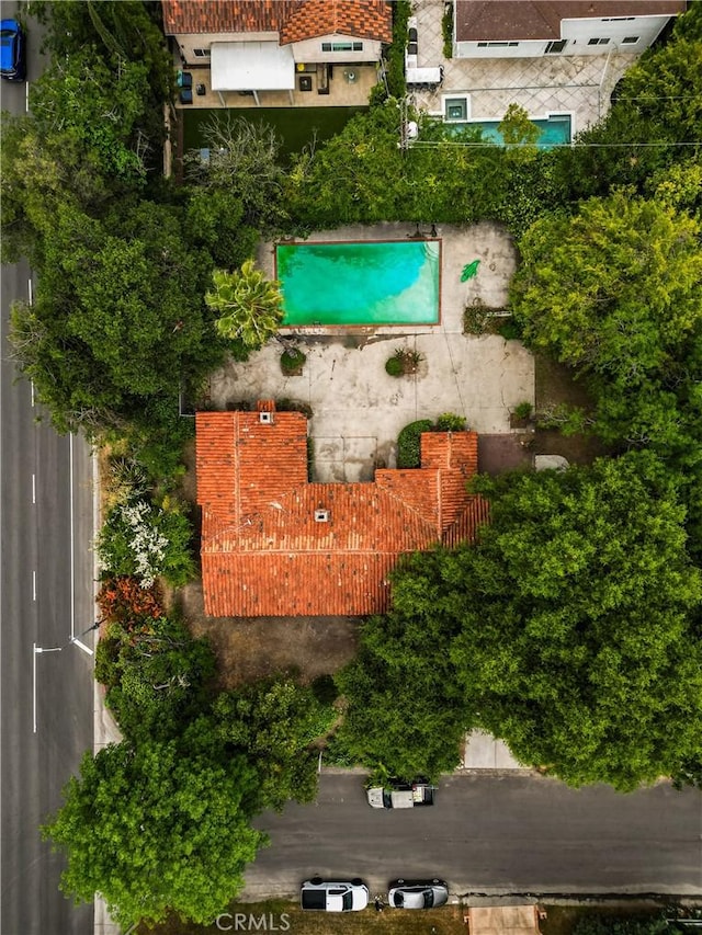 bird's eye view