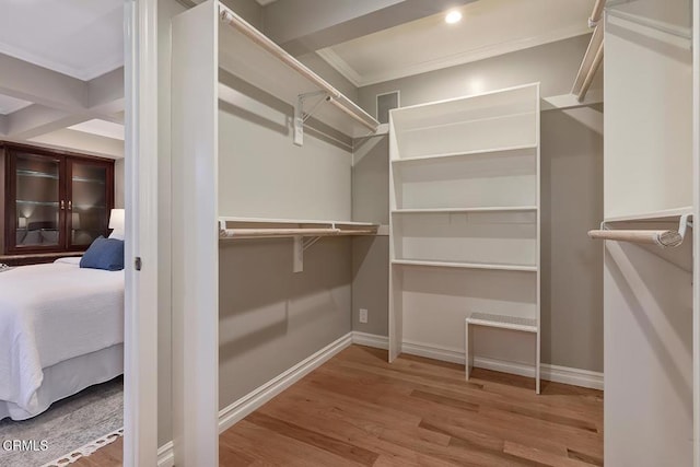 walk in closet with wood finished floors