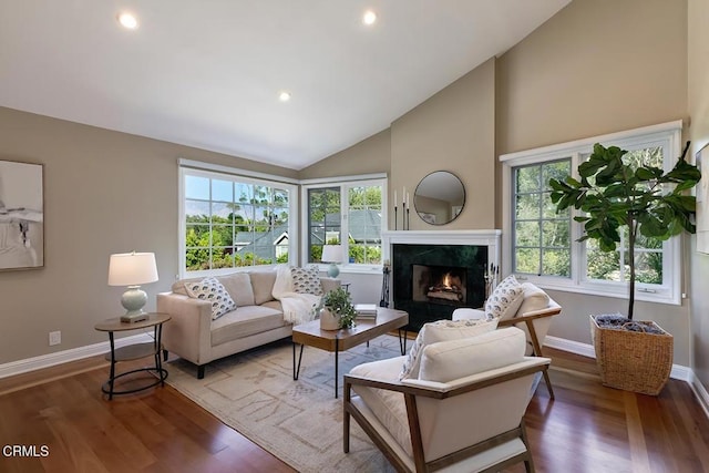 living area with a premium fireplace, a wealth of natural light, and wood finished floors