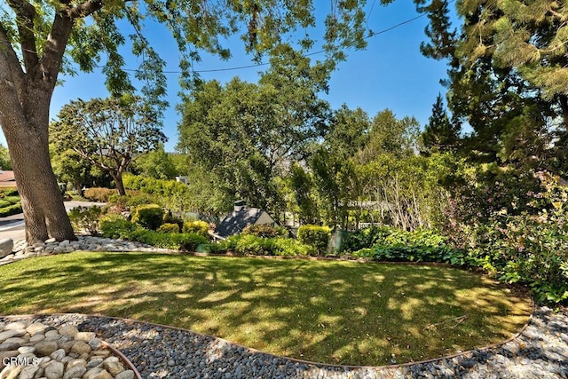 view of yard