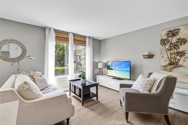 living area featuring wood finished floors