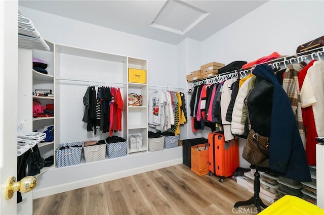 walk in closet with wood finished floors and attic access