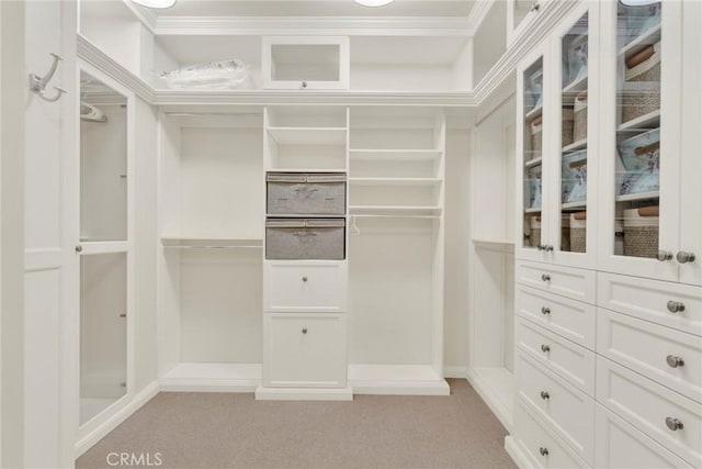 spacious closet with light colored carpet