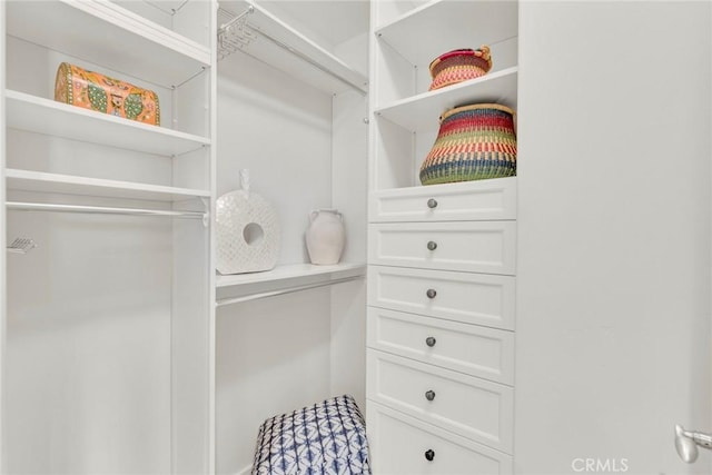 view of walk in closet