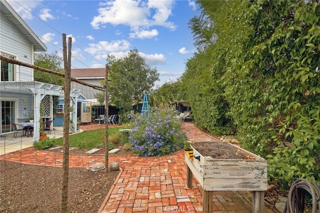 view of yard featuring a patio, a garden, and a pergola
