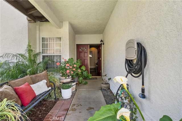 doorway to property with stucco siding