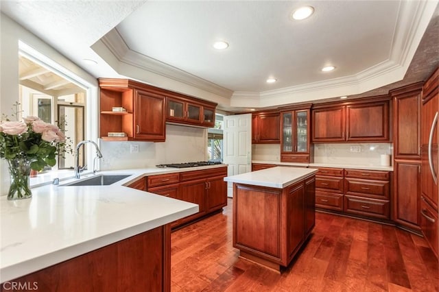 kitchen featuring crown molding, a sink, light countertops, dark wood finished floors, and a tray ceiling