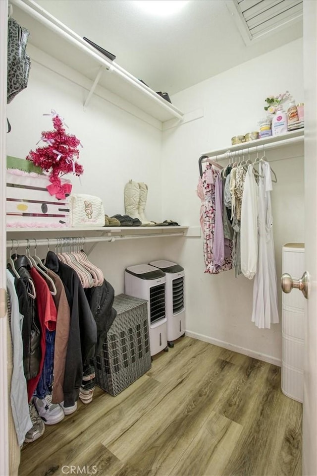 walk in closet featuring wood finished floors