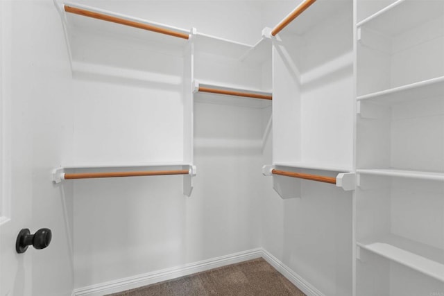 spacious closet with carpet