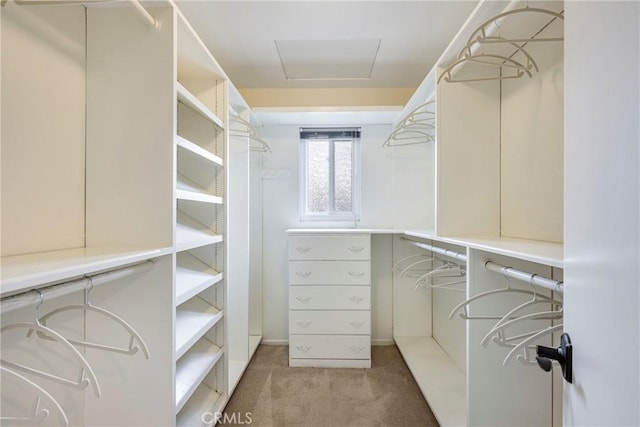 walk in closet with carpet flooring
