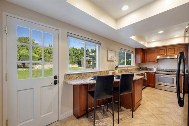 kitchen with under cabinet range hood, brown cabinets, a tray ceiling, a sink, and stainless steel appliances