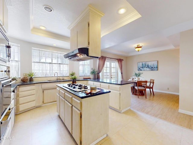 kitchen featuring crown molding, dark countertops, a raised ceiling, a center island, and a peninsula