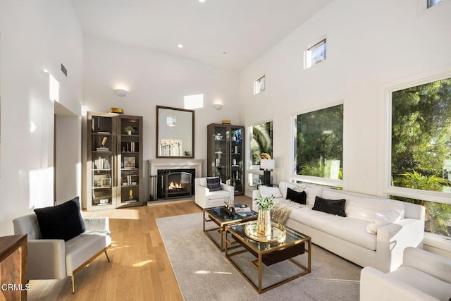living area with light wood-style floors, high vaulted ceiling, and plenty of natural light
