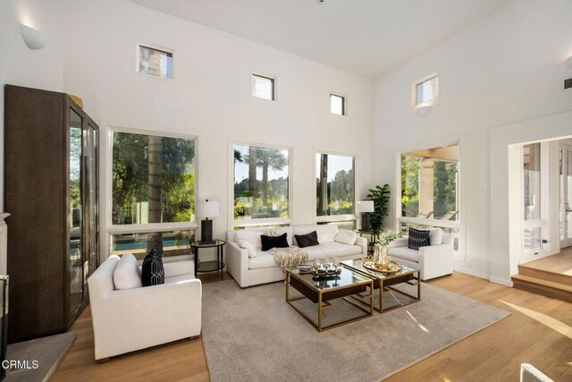 living area featuring a towering ceiling, wood finished floors, and a wealth of natural light