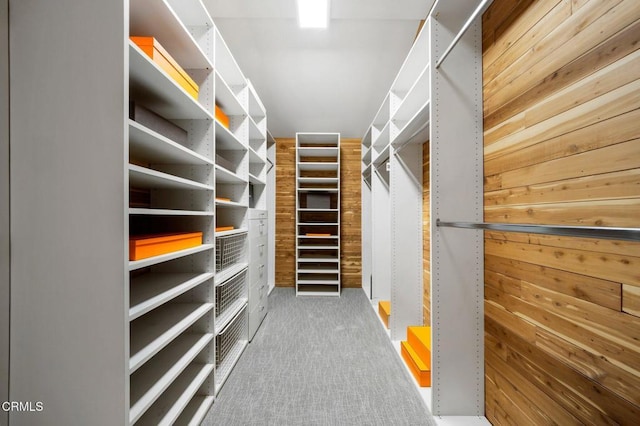 spacious closet with carpet