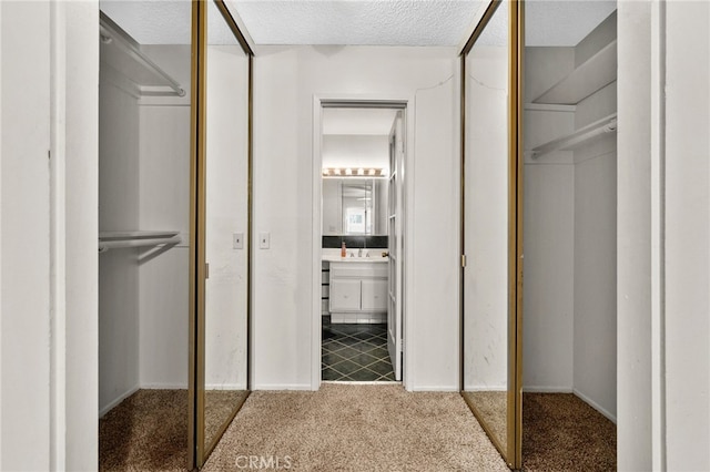 spacious closet featuring carpet flooring