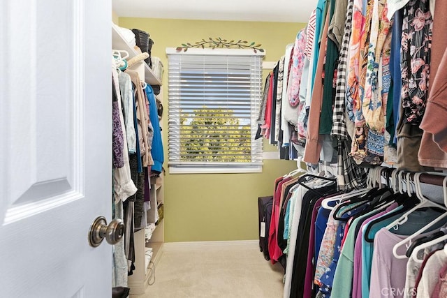 776 Avenida Salvador, San Clemente, CA 92672 - walk in closet featuring carpet