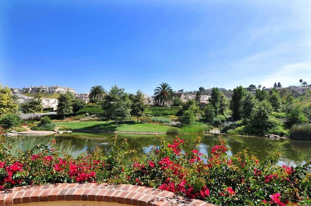 2258 Aventurine Pl, Carlsbad, CA 92009 - view of community featuring a water view