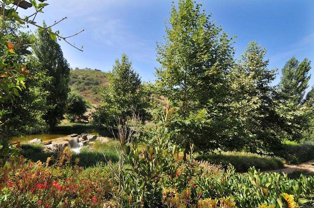 2258 Aventurine Pl, Carlsbad, CA 92009 - view of undeveloped land