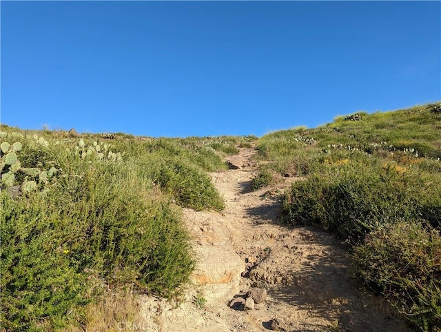 view of local wilderness