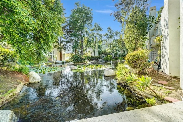 view of community featuring a small pond