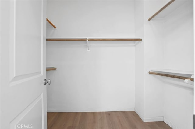 walk in closet with wood finished floors