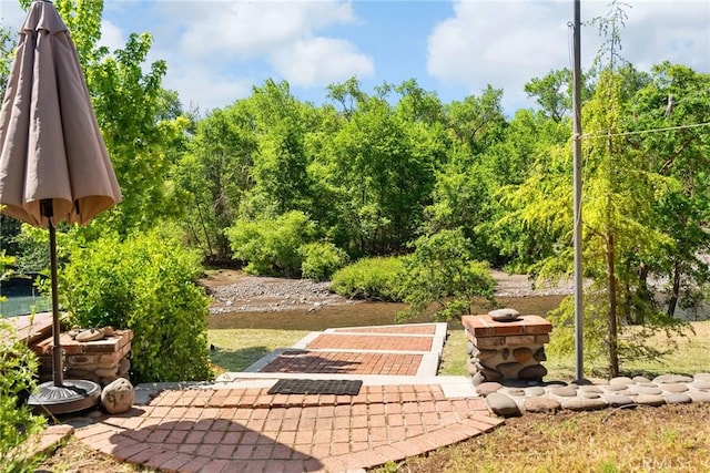26231 Wilson St, Los Molinos, CA 96055 - view of yard featuring a patio area
