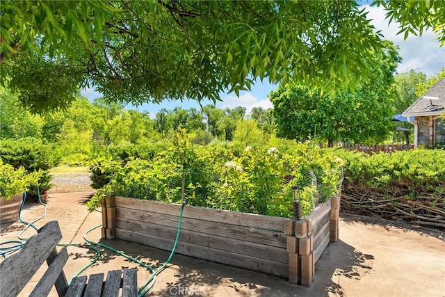 26231 Wilson St, Los Molinos, CA 96055 - view of yard with a garden