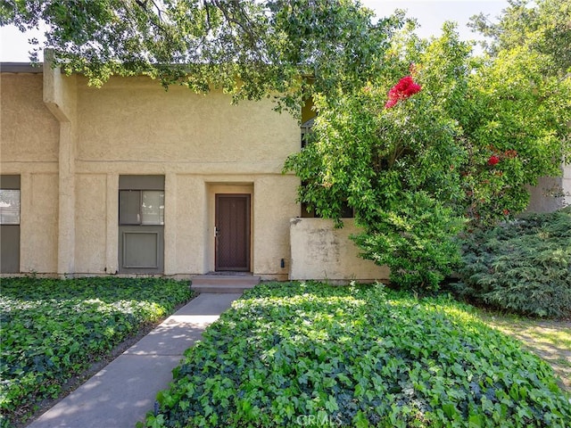 entrance to property featuring stucco siding