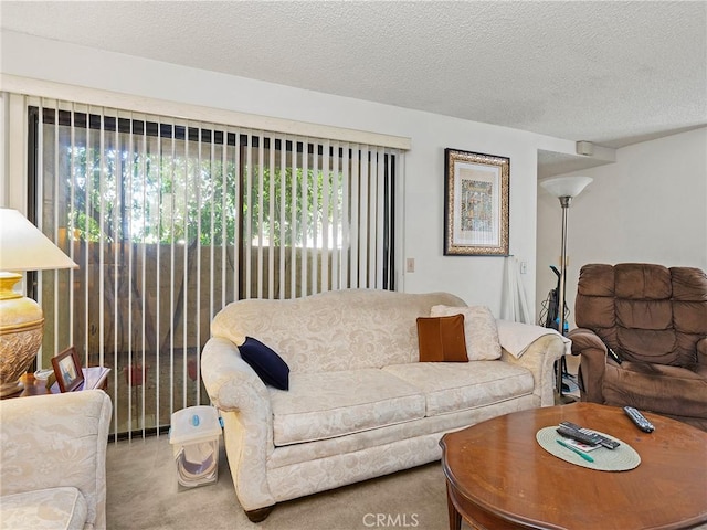 living area with a textured ceiling