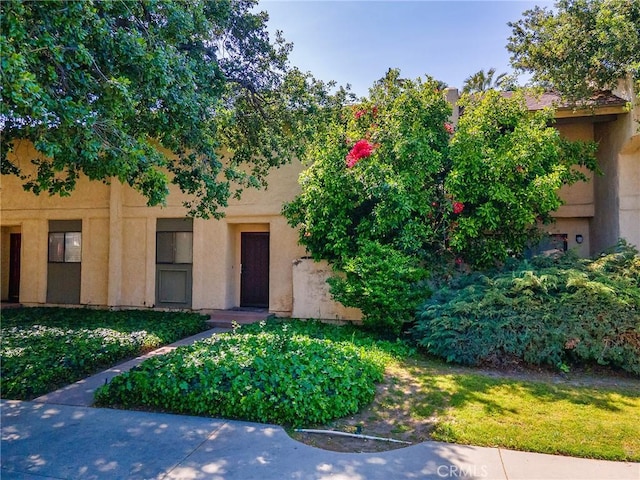 view of exterior entry with stucco siding