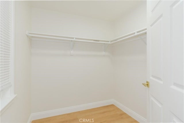 spacious closet featuring light wood-type flooring