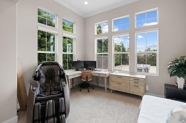 956 Urania Ave, Encinitas, CA 92024 - office featuring light colored carpet, crown molding, baseboards, a high ceiling, and recessed lighting
