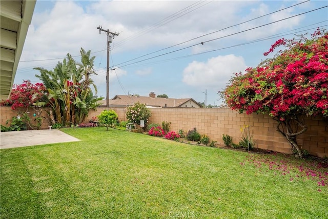 view of yard with a patio and a fenced backyard