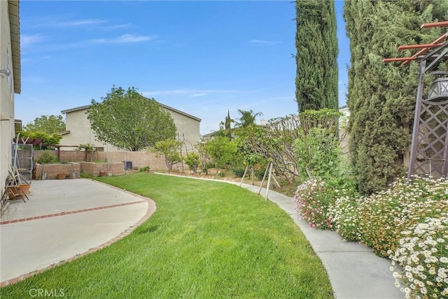 11913 Solitaire Ct, Jurupa Valley, CA 91752 - view of yard featuring fence and a patio area